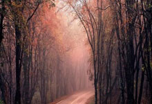 法罗群岛队遭遇困境，球迷心疼