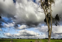 冰岛艰难取胜，成功进军下一轮