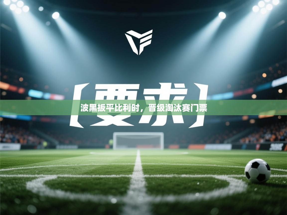 波黑扳平比利时，晋级淘汰赛门票