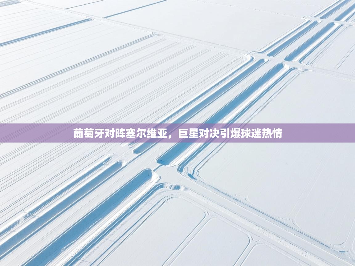 葡萄牙对阵塞尔维亚,巨星对决引爆球迷热情 第1张