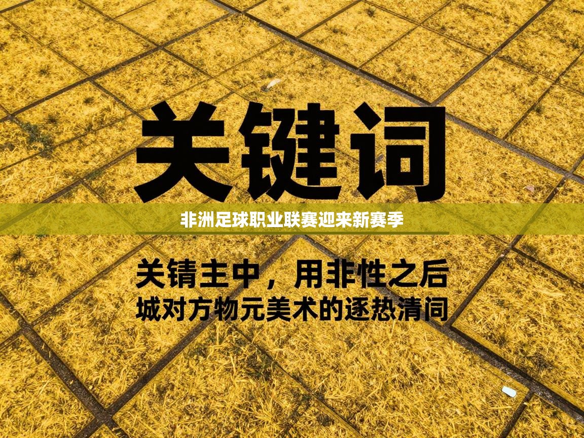 非洲足球职业联赛迎来新赛季